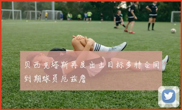 贝西克塔斯再度出击目标多特合同到期球员厄兹詹