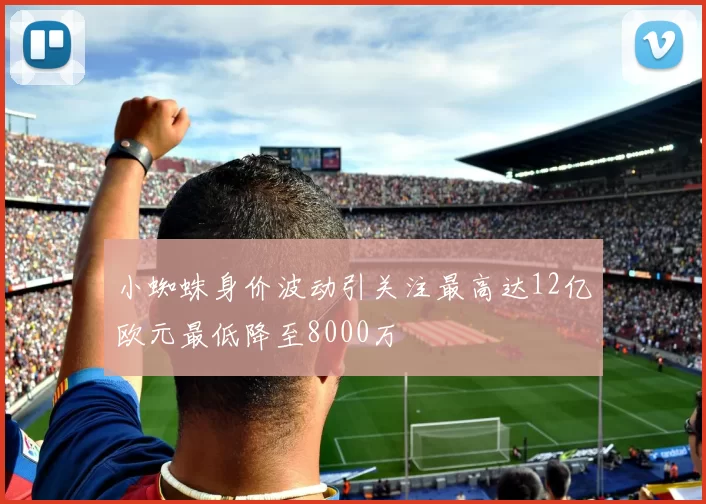 小蜘蛛身价波动引关注最高达12亿欧元最低降至8000万